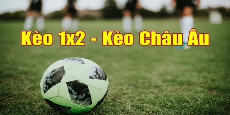 Kèo châu Âu - mã cược hấp dẫn dành cho tân thủ